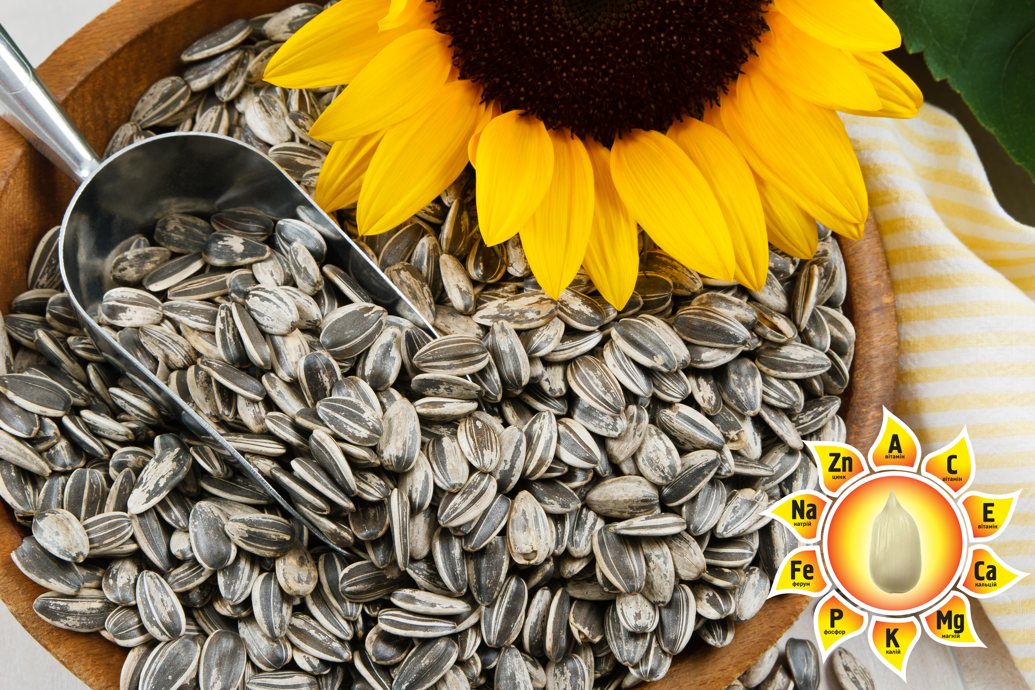 Снится ем семечки. Семечки Sunflower Seeds. Семена подсолнечника сорта крупноплодные. Sunflower семена подсолнечника. Семена подсолнечника (20 кг).